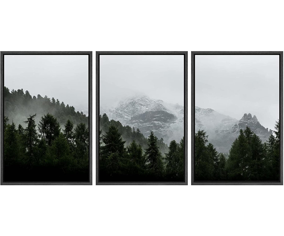 Misty Forest Canvas by Michael Caissie